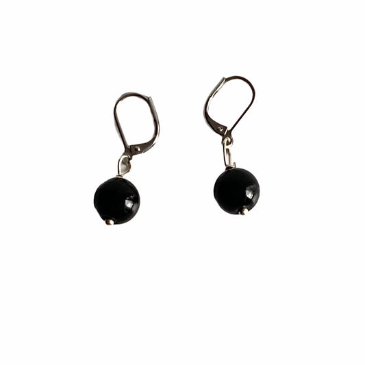 Round Black Onyx Earrings on Stainless Steel Lever back Ear Wires Flatlay view